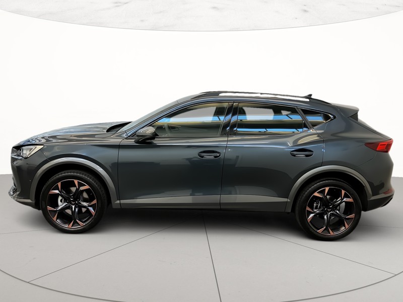 Cupra Formentor 2.0 tdi 4drive 150cv dsg