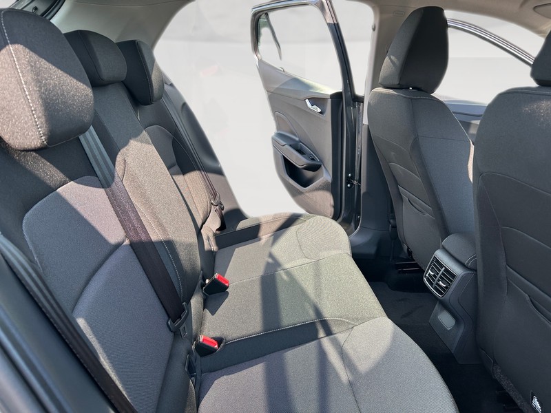 Skoda Fabia Young Edition 1.0 TSI 95 CV