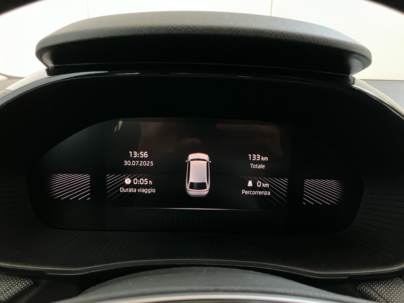 Skoda Fabia 1.0 tsi evo selection 115cv