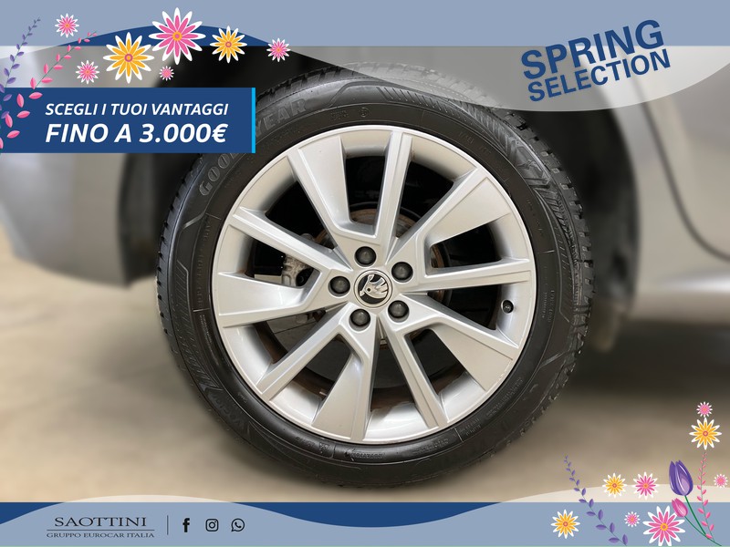 Skoda Kamiq 1.0 TSI Ambition 95 CV
