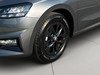 Skoda Fabia Young Edition 1.0 TSI 95 CV