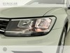 Volkswagen Tiguan 1.6 tdi business 115cv
