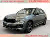 Skoda Kamiq 1.0 tsi selection 115cv dsg
