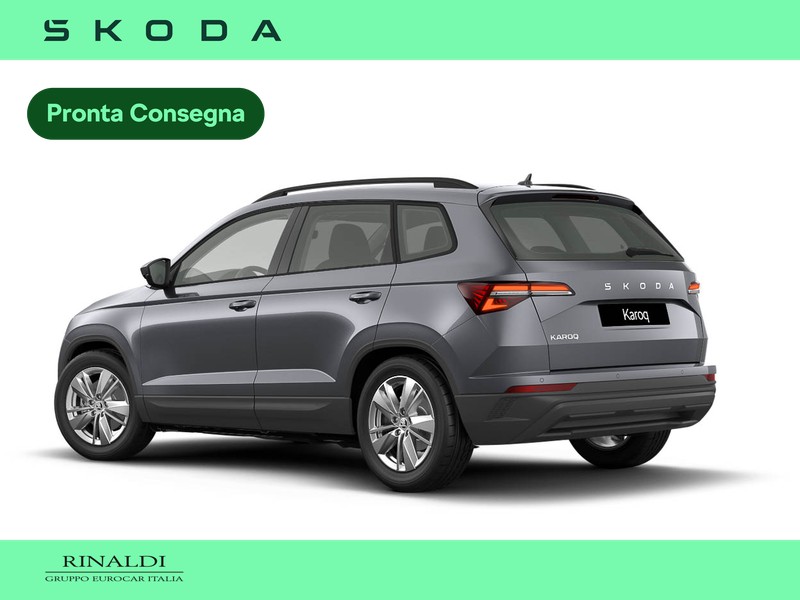 Skoda Karoq 2.0 tdi evo selection 150cv dsg