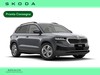 Skoda Karoq 2.0 tdi evo selection 150cv dsg