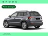 Skoda Karoq 2.0 tdi evo selection 150cv dsg