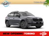 Skoda Kamiq 1.0 tsi black dots 115cv