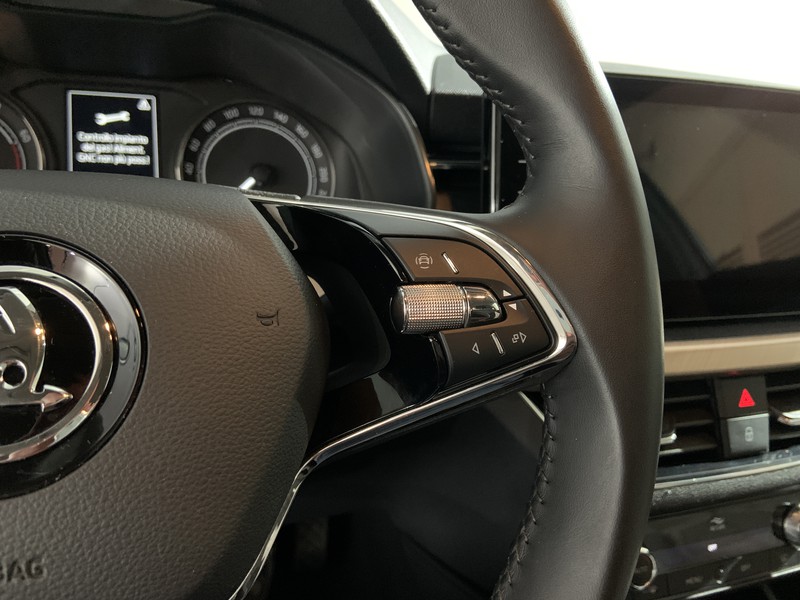 Skoda Kamiq 1.0 g-tec style 90cv