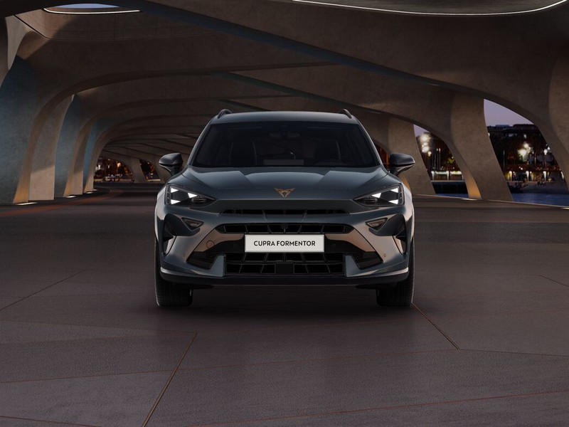 Cupra Formentor 2.0 tdi 150cv dsg
