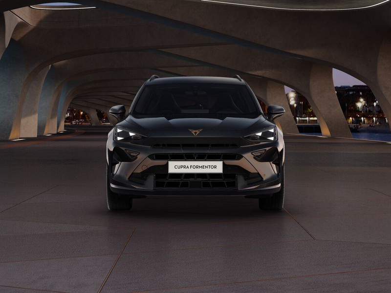 Cupra Formentor 2.0 tdi 150cv dsg