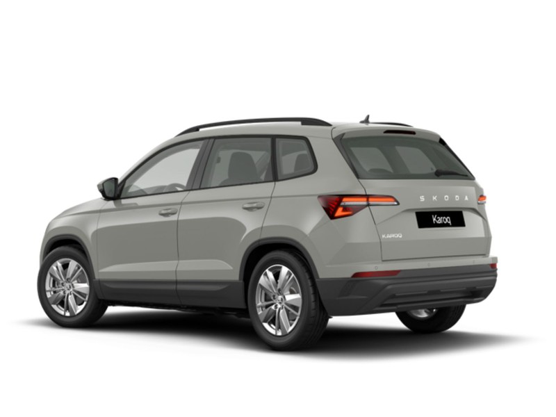 Skoda Karoq 2.0 tdi evo selection 150cv dsg