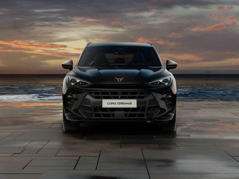 Cupra Terramar 1.5 e-hybrid impulse 204cv dsg