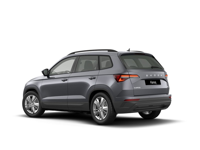 Skoda Karoq 2.0 tdi evo executive 4x4 150cv dsg