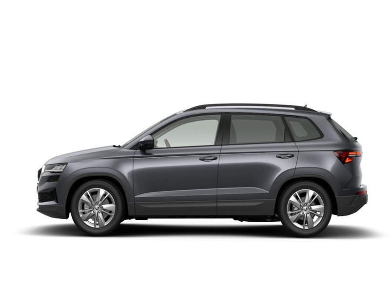 Skoda Karoq 2.0 tdi evo executive 4x4 150cv dsg