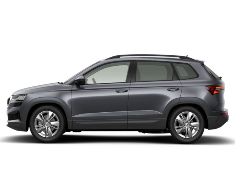 Skoda Karoq 2.0 tdi evo executive 150cv dsg