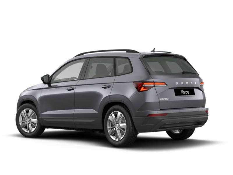 Skoda Karoq 2.0 tdi evo executive 150cv dsg