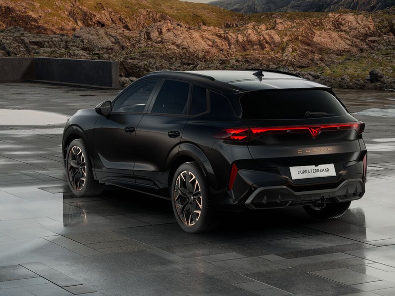 Cupra Terramar 2.0 tsi 4drive impulse 204cv dsg