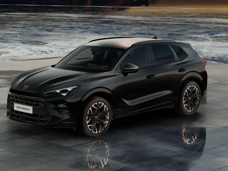 Cupra Terramar 2.0 tsi 4drive impulse 204cv dsg