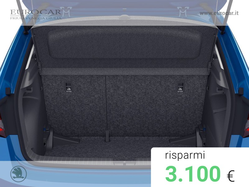 Skoda Fabia 1.0 tsi evo young edition 95cv