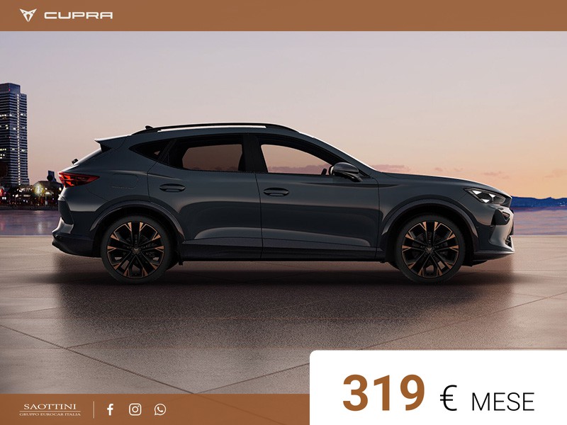 Cupra Formentor 2.0 TDI 150 CV DSG