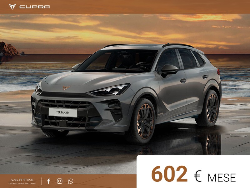 Cupra Terramar VZ 2.0 TSI 4Drive 265 CV DSG