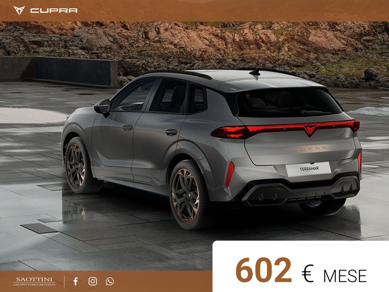Cupra Terramar VZ 2.0 TSI 4Drive 265 CV DSG