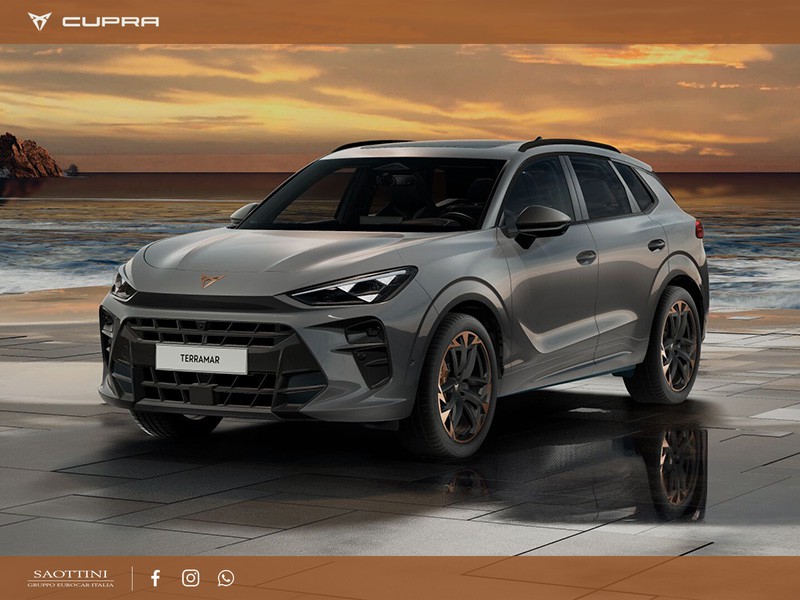 Cupra Terramar VZ 2.0 TSI 4Drive 265 CV DSG