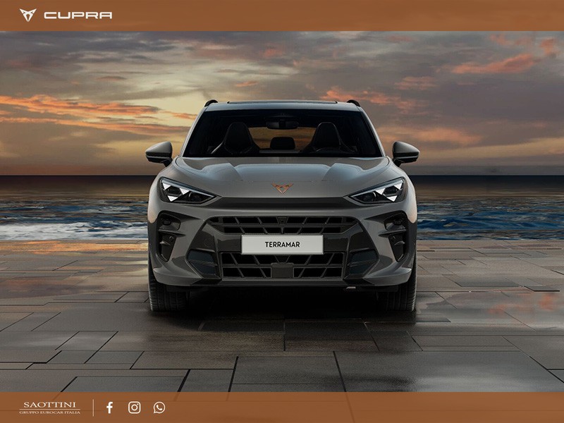 Cupra Terramar VZ 2.0 TSI 4Drive 265 CV DSG