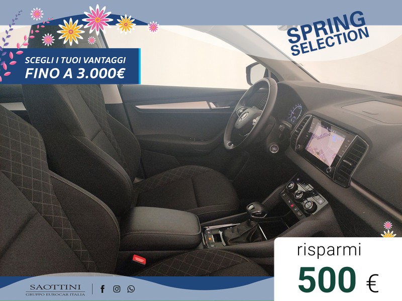 Skoda Karoq 2.0 TDI evo Executive 115 CV DSG