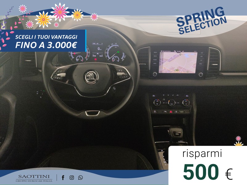 Skoda Karoq 2.0 TDI evo Executive 115 CV DSG