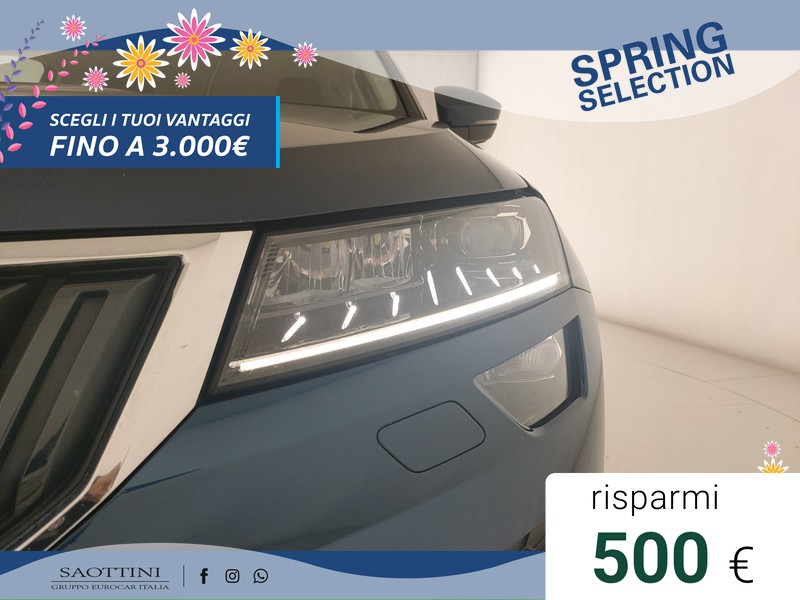 Skoda Karoq 2.0 TDI evo Executive 115 CV DSG