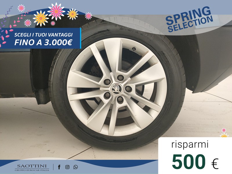 Skoda Karoq 2.0 TDI evo Executive 115 CV DSG