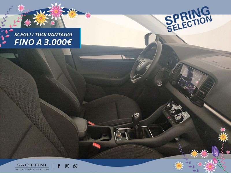 Skoda Karoq 1.0 TSI Selection 115 CV
