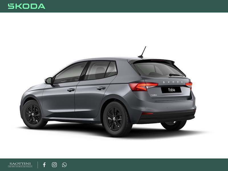 Skoda Fabia Young Edition 1.0 TSI 95 CV