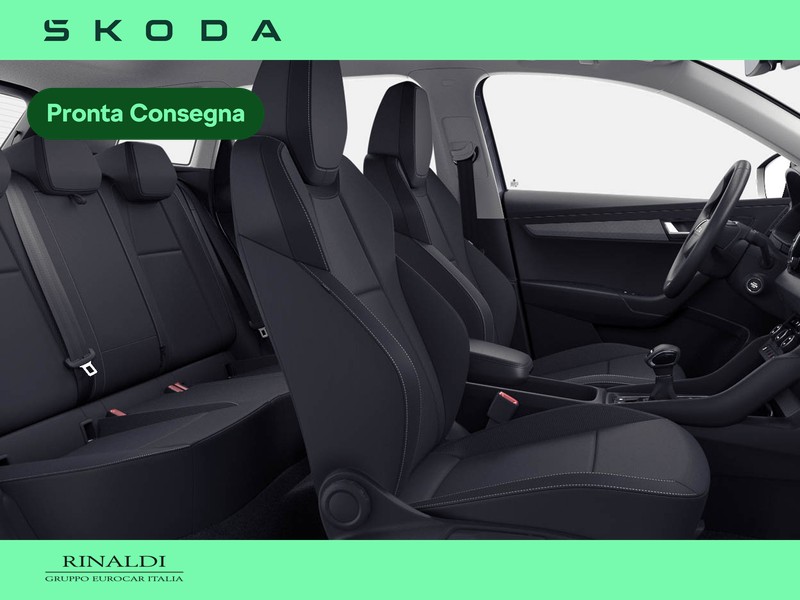 Skoda Karoq 2.0 tdi evo selection 150cv dsg