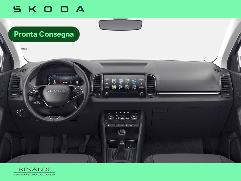 Skoda Karoq 2.0 tdi evo executive 150cv dsg