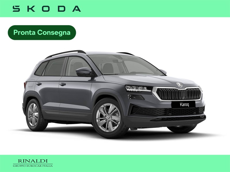 Skoda Karoq 2.0 tdi executive 150cv dsg