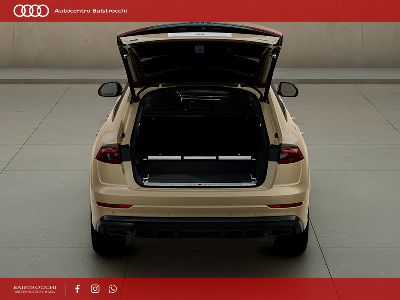 Audi Q8 S line edition 50 TDI quattro tiptronic
