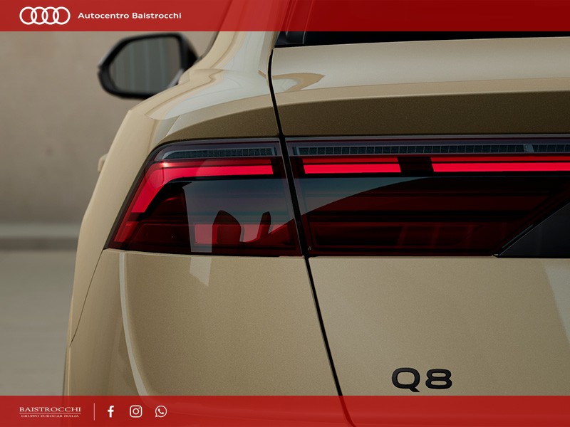 Audi Q8 S line edition 50 TDI quattro tiptronic