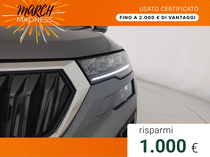 Skoda Karoq 2.0 TDI Executive 150 CV DSG