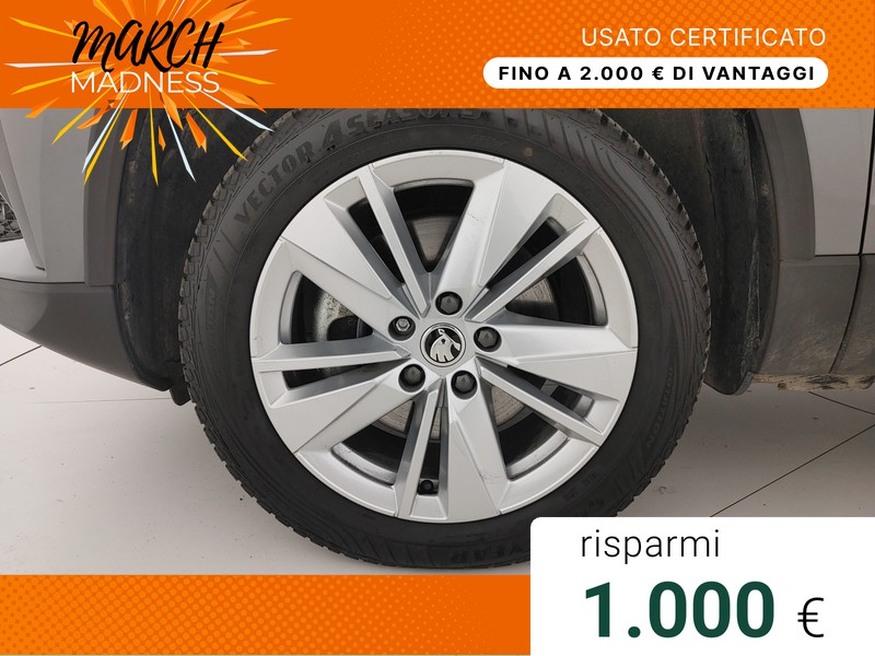 Skoda Karoq 2.0 TDI Executive 150 CV DSG