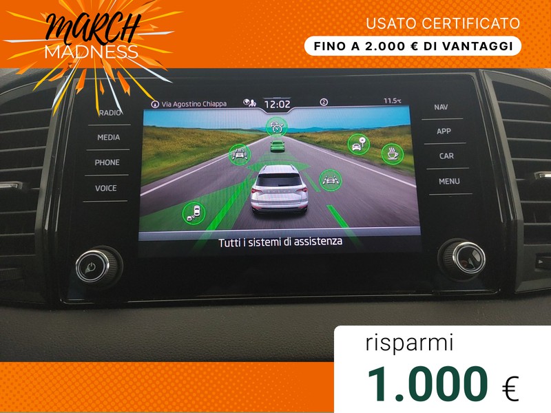 Skoda Karoq 2.0 TDI Executive 150 CV DSG