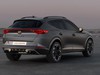 Cupra Formentor 2.0 tsi vz 4drive 310cv dsg