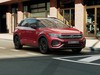 Volkswagen T-Roc 1.5 tsi r-line plus
