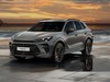 Cupra Terramar 2.0 tsi vz 4drive 265cv dsg
