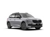 Skoda Kamiq 1.5 tsi 130 edition 150cv dsg
