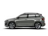 Skoda Karoq 1.5 tsi sportline dsg
