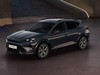 Cupra Formentor 2.0 tdi 150cv dsg