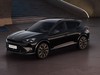 Cupra Formentor 2.0 tdi 150cv dsg