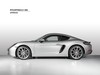 Porsche Cayman 718 Cayman